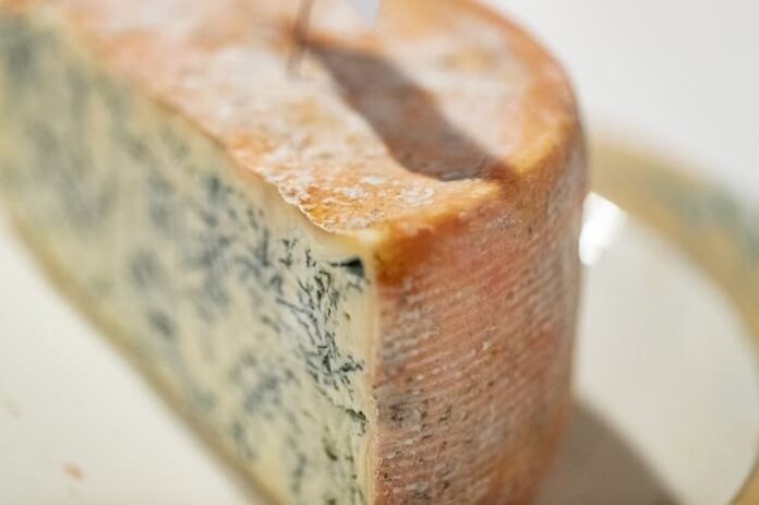 Cavallermaggiore (Cuneo), è sagra del gorgonzola