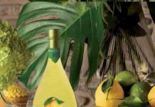 Bottega lancia “Limoncino” Limoncino
