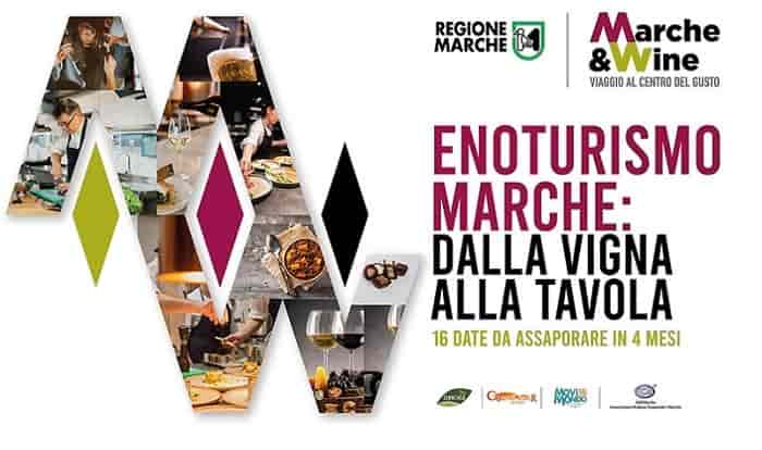 Marche wine