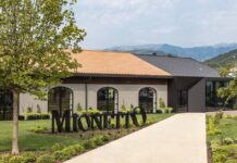 Mionetto