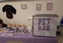 PET BAR