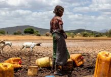 Etiopia credits Roger Lo Guarro