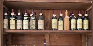 Fattoria Il Capitano selezione vini italiani