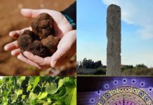 Giurdignano Città del Tartufo Giurdignano Città del Tartufo