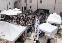 Golosaria: tra i Castelli del Monferrato 2024 Golosaria