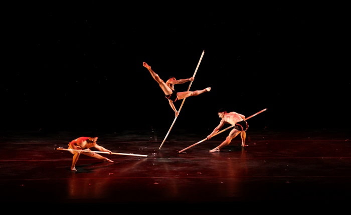 MOMIX MensPoles 2