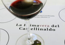 Castellinaldo Barbera d’Alba DOC: eccellenza del Roero orientale la primavera del castellinaldo