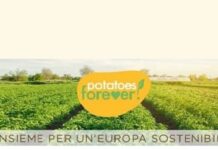 Potatos Forever