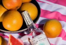 Tequila Casamigos: e Casa Paloma Arance cocktail