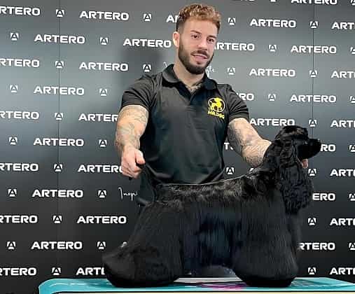 Fran Manuel Artero