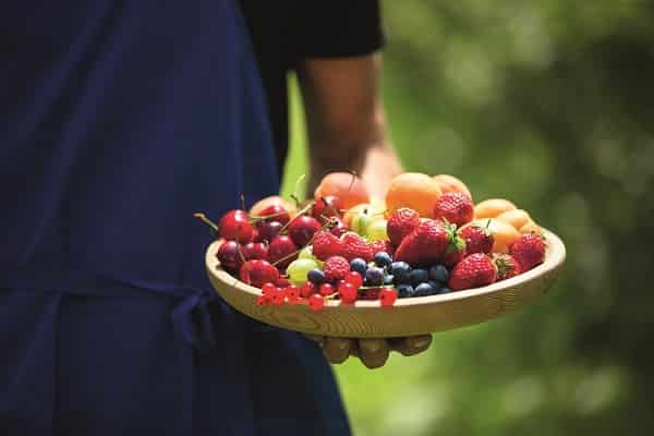 Frutti di montagna