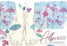 Alberi in Cammino 2024 