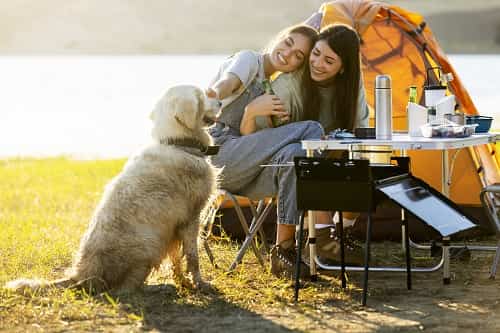 Ccamping con pet Turismo le tendenze