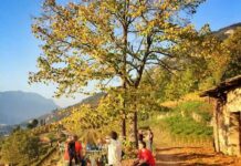 Trentino l’edizione 2024: di “DiVin Ottobre” Trentino l’edizione 2024