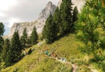 Fassa-Carezza: ancora bella stagione Fassa-Carezza: ancora bella stagione