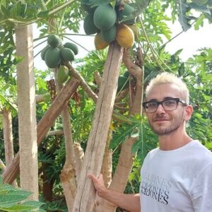 Gianluca Degani Sicilia papaya