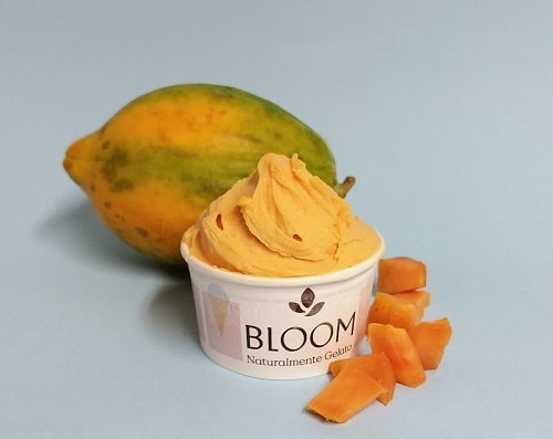 gelato al gusto di papaya italiana gelati ai frutti tropicali