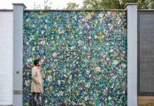 Ecosistema urbano