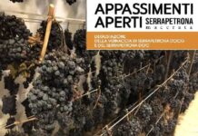 Serrapetrona appassimenti aperti 2024 Serrapetrona appassimenti aperti 2024