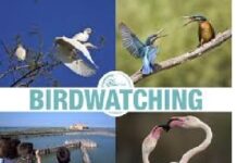 Giornate di Birdwatching