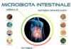 Microbiota intestinale