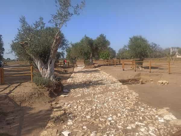 MuroTenente via Appia