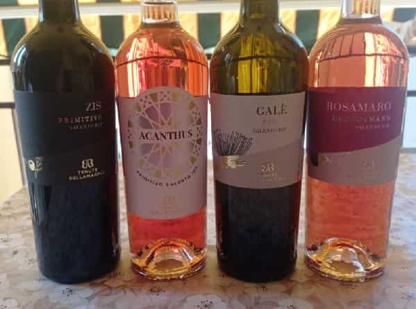 Vini tenuta BELLAMARINA