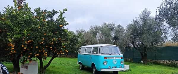 latiano MasseriaIncantamentoGiardino