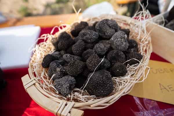 terre del tartufo fiastra