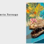 110 We, Humanimals nhow opere di Alberto Tornago
