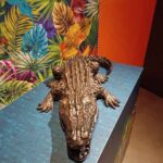 50 We, Humanimals nhow Alberto Tornago Coccodrillo in bronzo