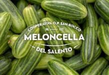 La meloncella Salentina presentata a Berlino La meloncella