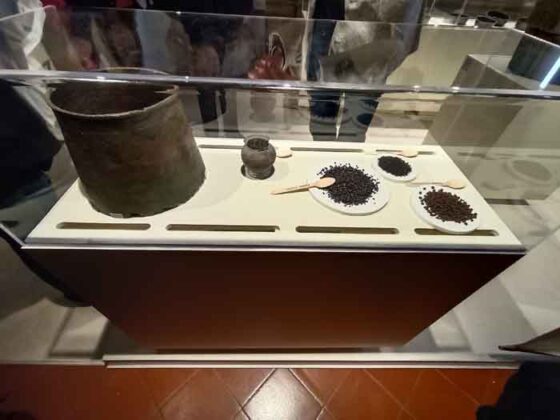 02 Dall'uovo alle mele Villa Campolieto, Ercolano