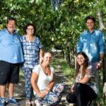 02 Sorrentino Vini Famiglia