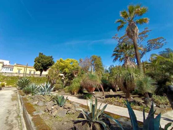 03 L'Orto Botanico della Reggia di Portici