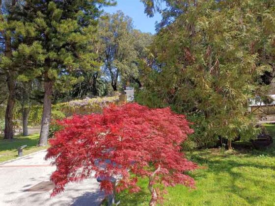 16 L'Orto Botanico della Reggia di Portici