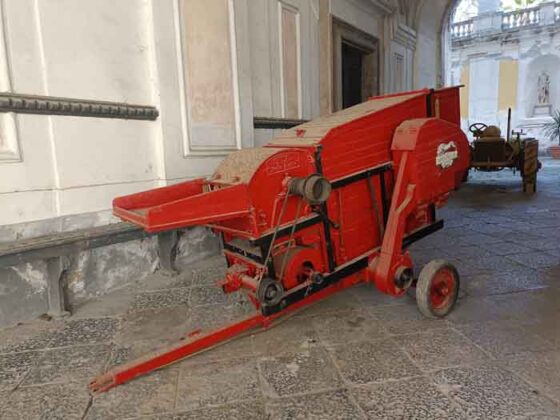 24 L'Orto Botanico della Reggia di Portici