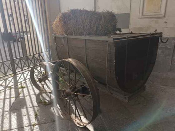 25 L'Orto Botanico della Reggia di Portici