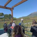 32 Sorrentino Vini