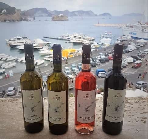 Selezioni Vini cantine Migliaccio