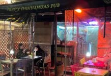 Crazy Chihuahuas Pub Milano zona Isola Crazy Chihuahuas Pub Milano