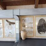 Erice Fondazione Majorana 08