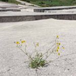 Gibellina Cretto di Burri 07