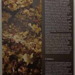 Museo Pepoli Trapani 40
