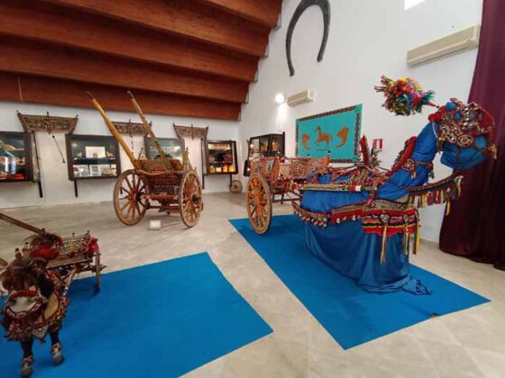 Museo del Carretto 02