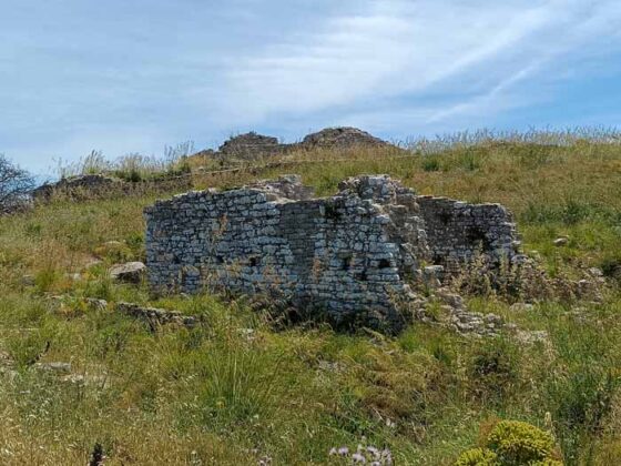 Segesta 17