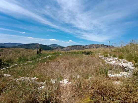 Segesta 19