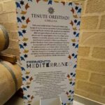 Tenute Orestiadi 02