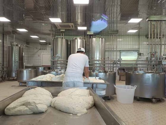 Caseificio Vannulo di Capaccio 01