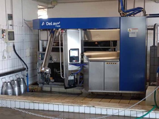 Caseificio Vannulo di Capaccio 07